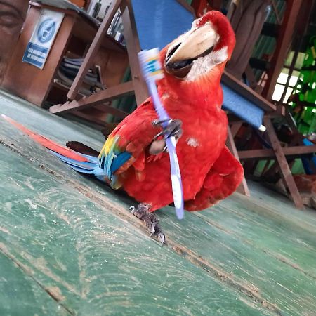 Cabanas Alto Del Aguila Puerto Nariño Kültér fotó