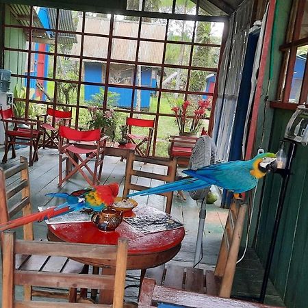 Cabanas Alto Del Aguila Puerto Nariño Kültér fotó