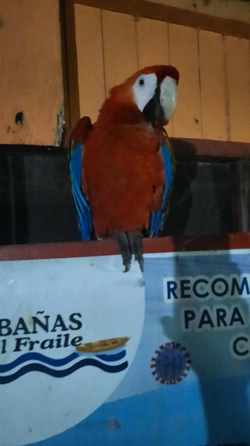 Cabanas Alto Del Aguila Puerto Nariño Kültér fotó