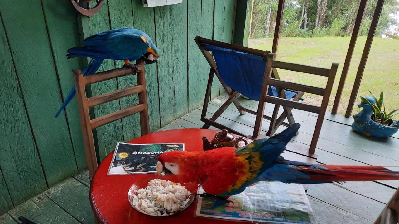 Cabanas Alto Del Aguila Puerto Nariño Kültér fotó