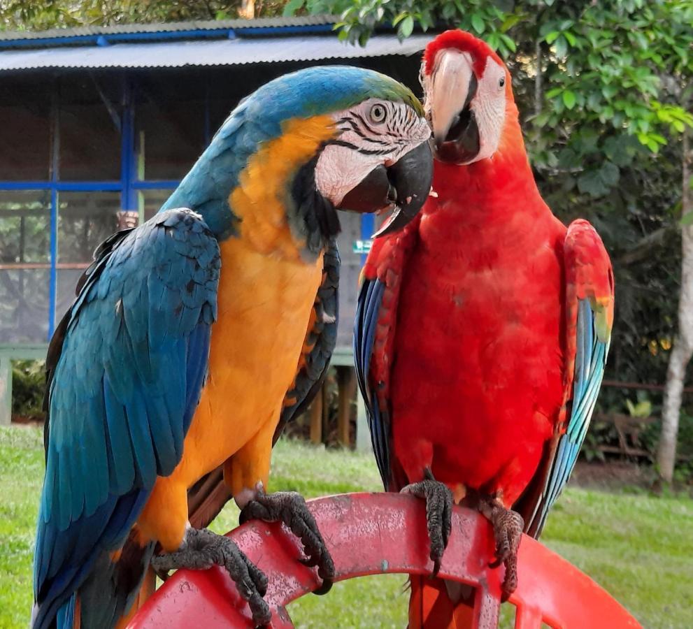 Cabanas Alto Del Aguila Puerto Nariño Kültér fotó