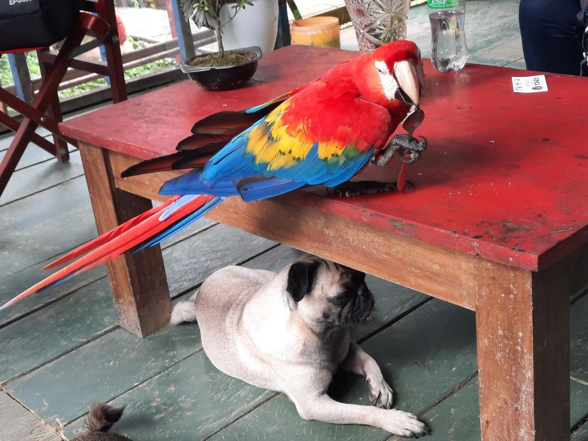 Cabanas Alto Del Aguila Puerto Nariño Kültér fotó
